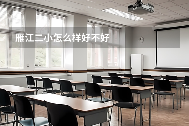 雁江二小怎么样好不好