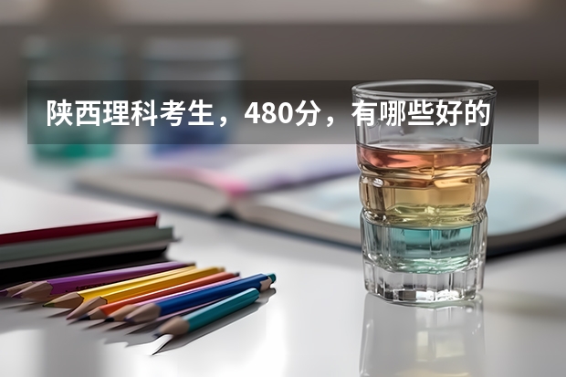 陕西理科考生,480分,有哪些好的三本院校