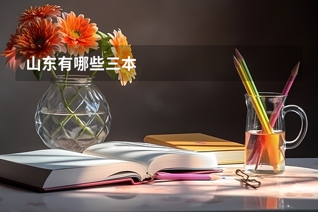 山东有哪些三本
