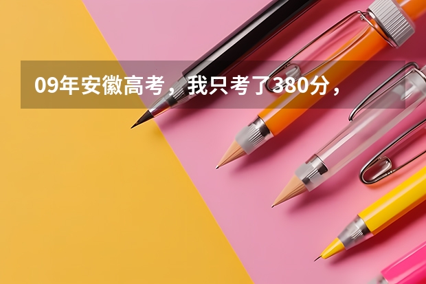 09年安徽高考，我只考了380分，文科的，能上哪些专科院校？