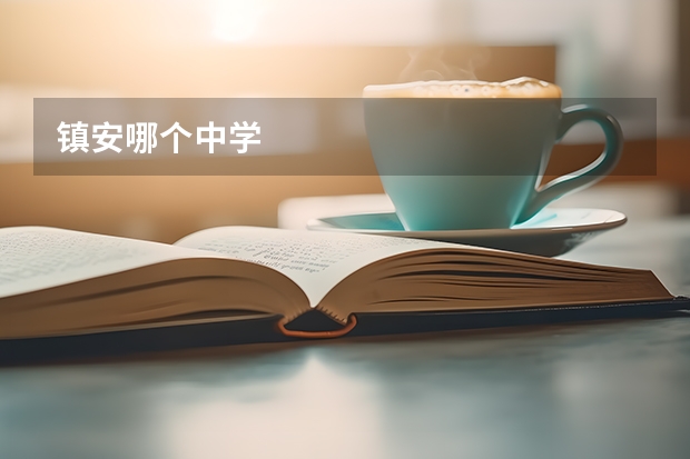 镇安哪个中学