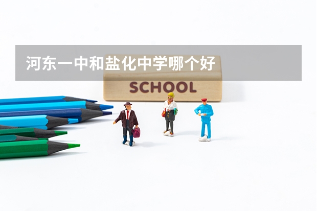 河东一中和盐化中学哪个好