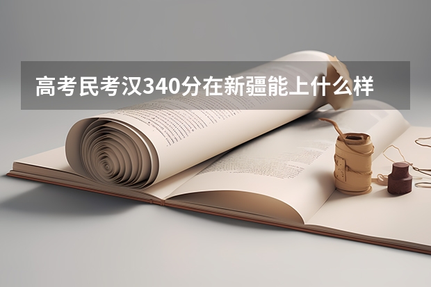 高考民考汉340分在新疆能上什么样的大学？那些专业比较有前景？？？
