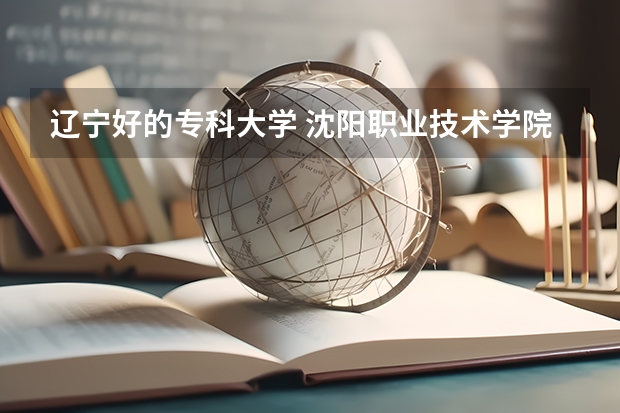 辽宁好的专科大学 沈阳职业技术学院分数线