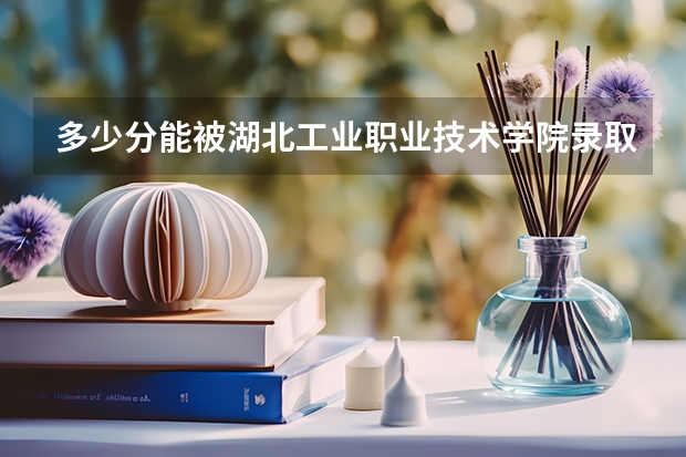 多少分能被湖北工业职业技术学院录取