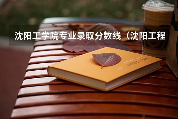 沈阳工学院专业录取分数线（沈阳工程学院专科录取分数线）