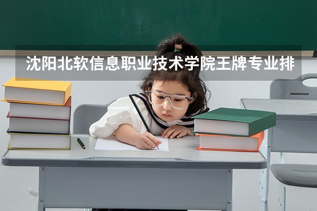 沈阳北软信息职业技术学院王牌专业排名一览表(北京北大方正软件职业技术学院王牌专业排名一览表)
