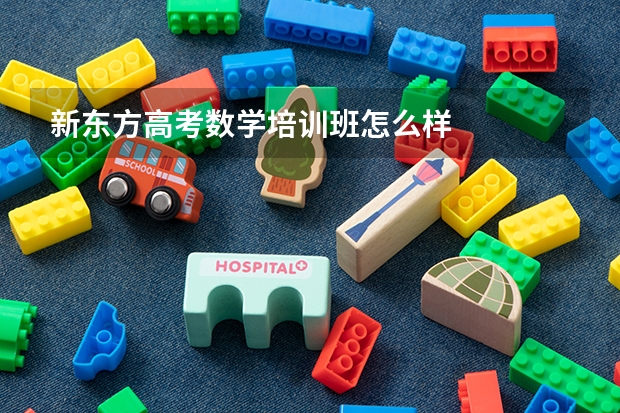 新东方高考数学培训班怎么样