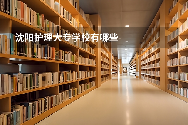 沈阳护理大专学校有哪些