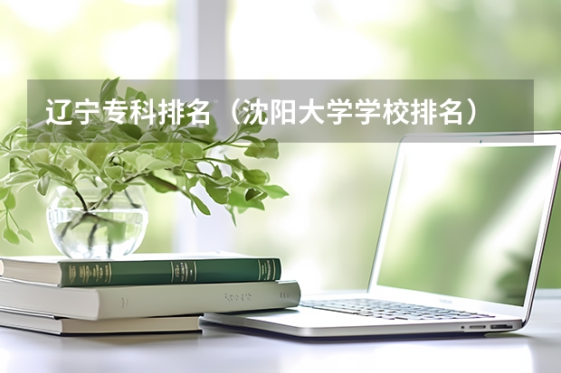 辽宁专科排名（沈阳大学学校排名）