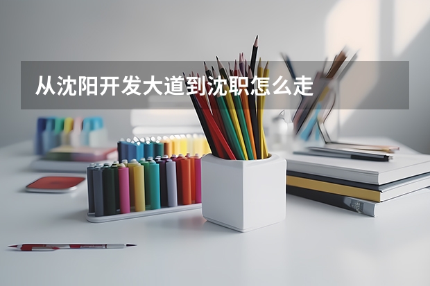 从沈阳开发大道到沈职怎么走