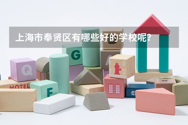 上海市奉贤区有哪些好的学校呢？