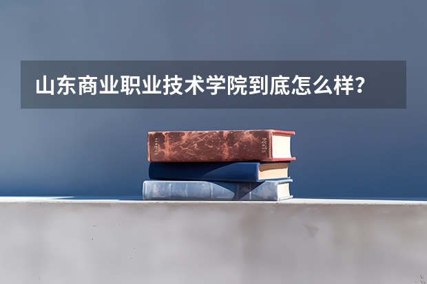 山东商业职业技术学院到底怎么样？