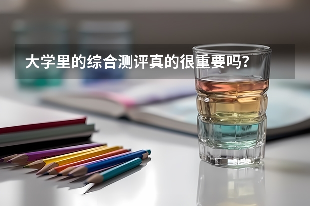 大学里的综合测评真的很重要吗？