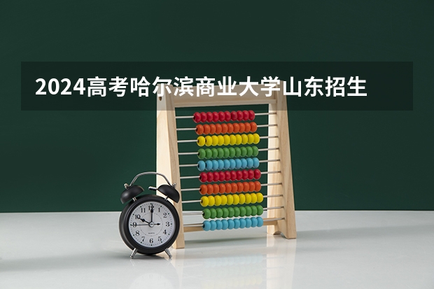 2024高考哈尔滨商业大学山东招生计划 招多少人