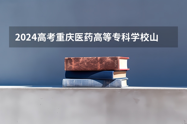 2024高考重庆医药高等专科学校山东招生计划 招多少人