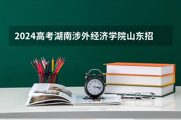 2024高考湖南涉外经济学院山东招生计划 招多少人