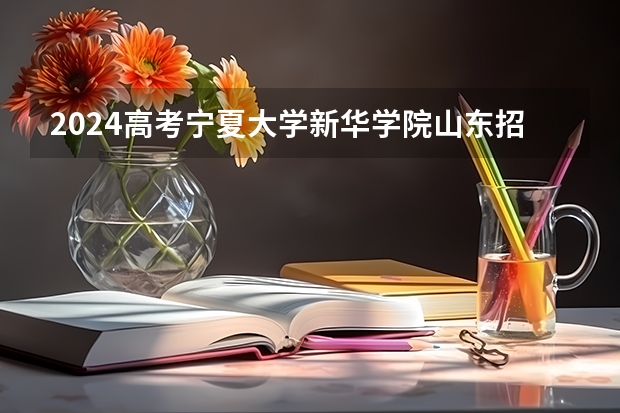2024高考宁夏大学新华学院山东招生计划 招多少人