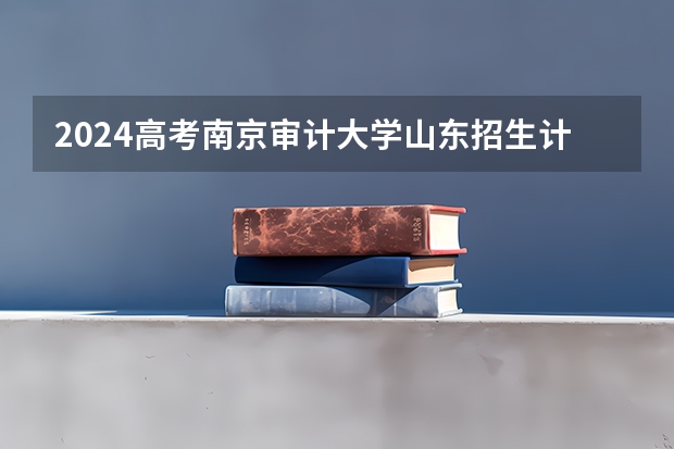 2024高考南京审计大学山东招生计划 招多少人