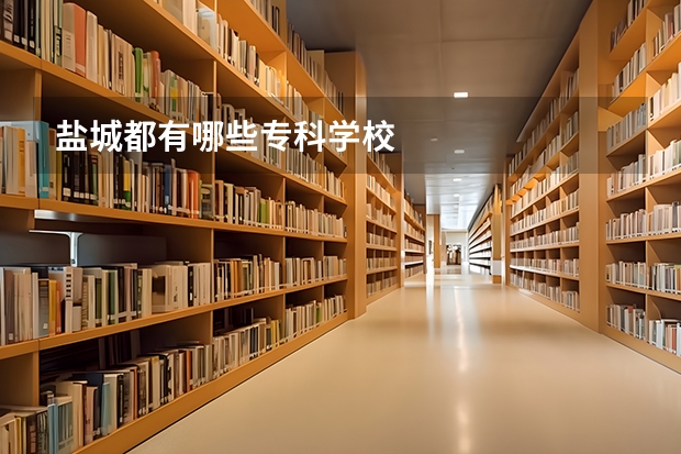 盐城都有哪些专科学校