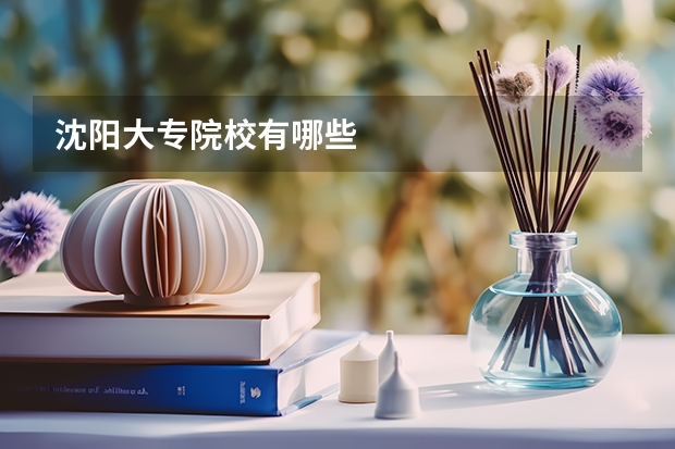 沈阳大专院校有哪些