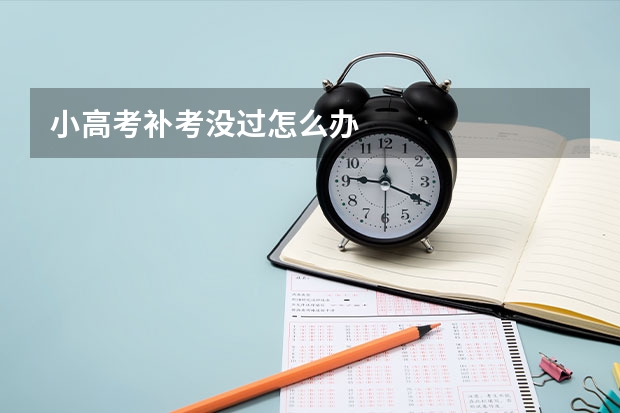 小高考补考没过怎么办