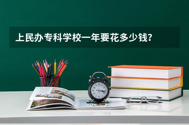 上民办专科学校一年要花多少钱？