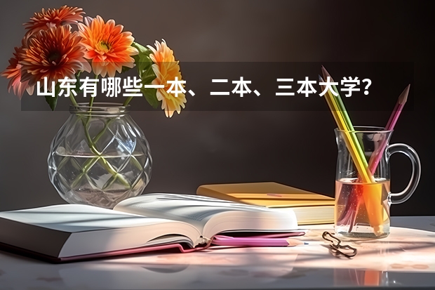 山东有哪些一本、二本、三本大学?