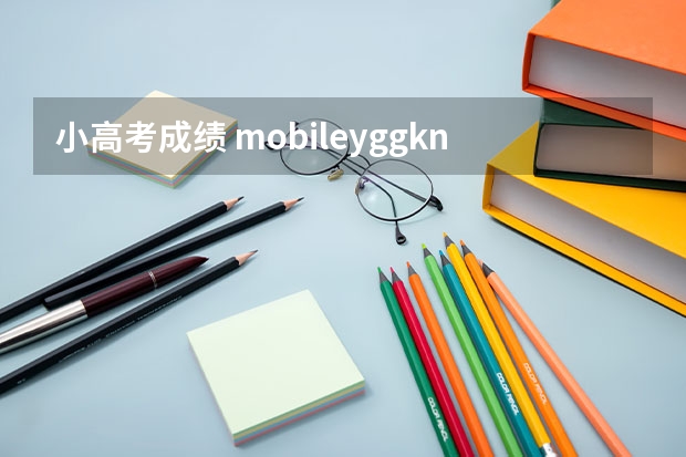 小高考成绩 mobile.yggk.net查询成绩 小高考成绩查询网址